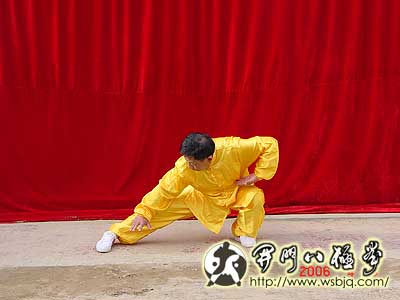 中华武术八极拳