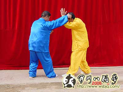 中华武术八极拳
