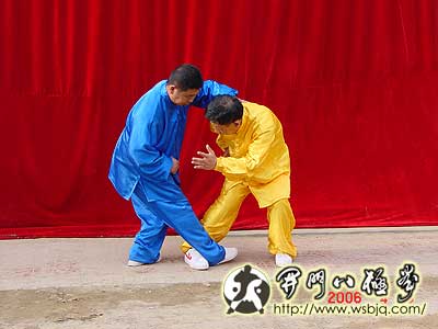 中华武术八极拳