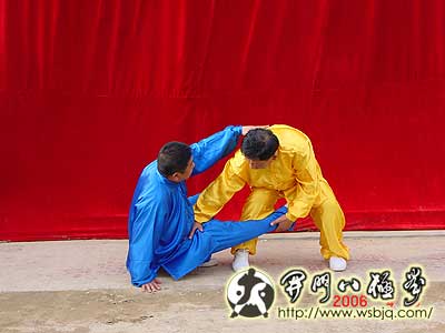 中华武术八极拳