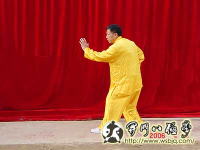 中华武术八极拳