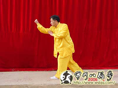 中华武术八极拳