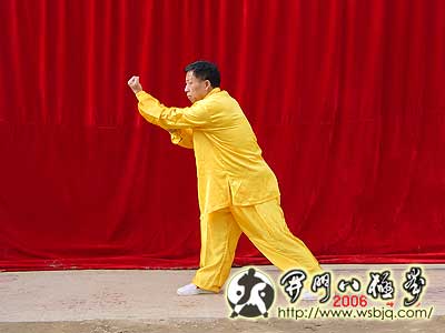 中华武术八极拳