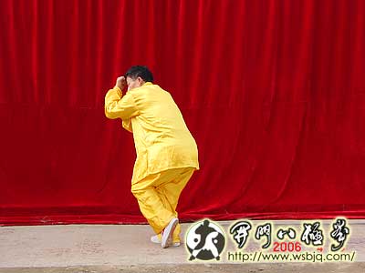 中华武术八极拳