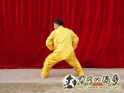 中华武术八极拳