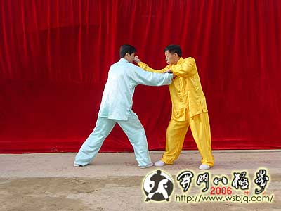 中华武术八极拳