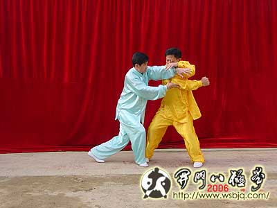 中华武术八极拳