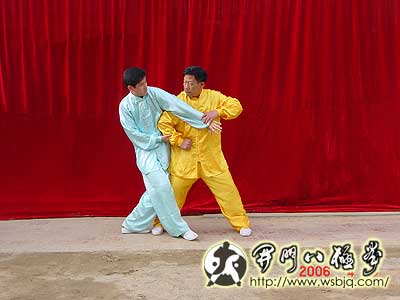 中华武术八极拳