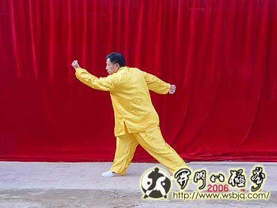 中华武术八极拳