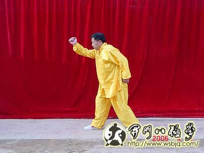 中华武术八极拳