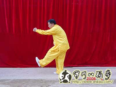 中华武术八极拳