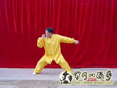 中华武术八极拳