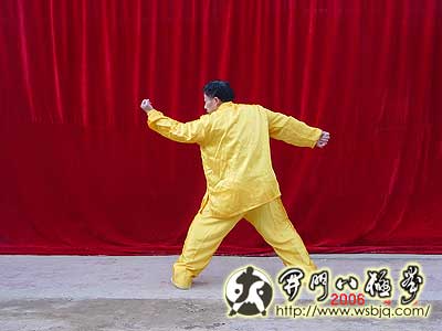 中华武术八极拳