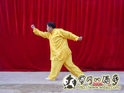 中华武术八极拳