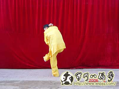 中华武术八极拳