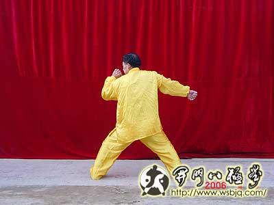 中华武术八极拳