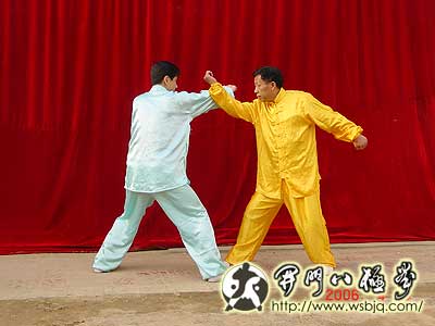 中华武术八极拳