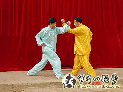 中华武术八极拳