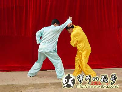 中华武术八极拳