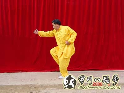 中华武术八极拳