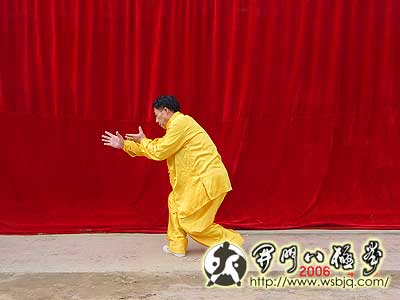 中华武术八极拳