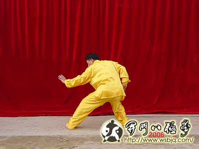 中华武术八极拳