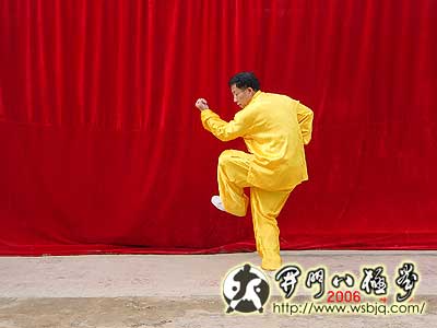 中华武术八极拳