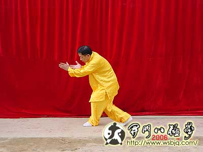 中华武术八极拳