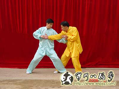 中华武术八极拳