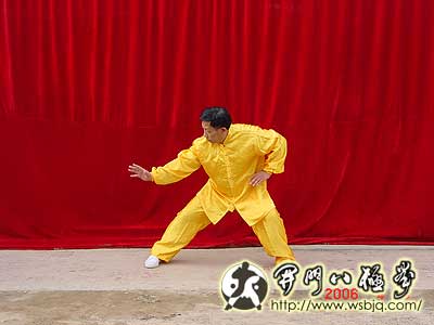 中华武术八极拳