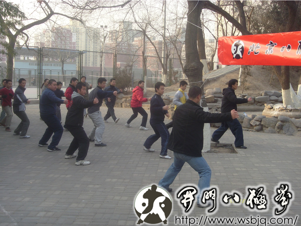 中华武术八极拳