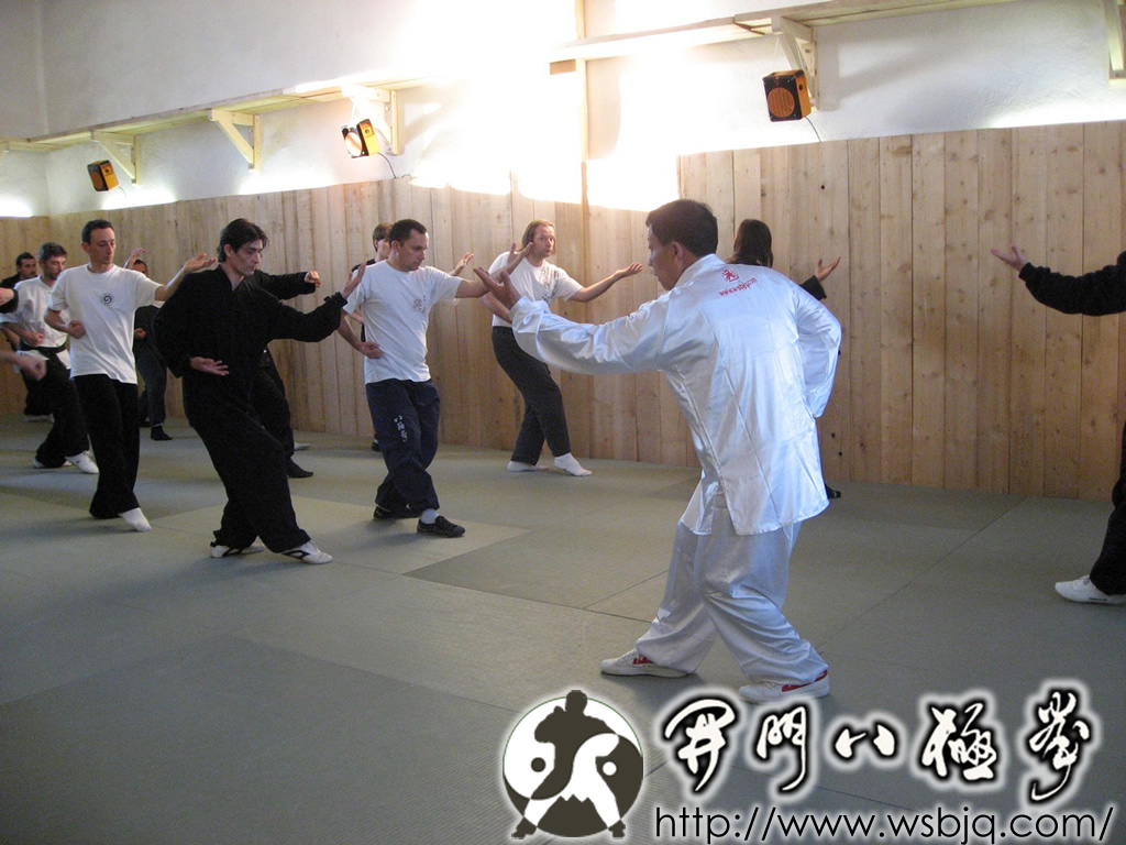 中华武术八极拳