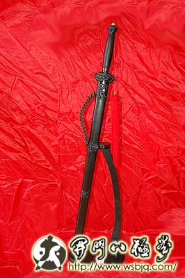 中华武术八极拳