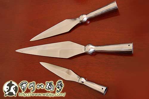 中华武术八极拳