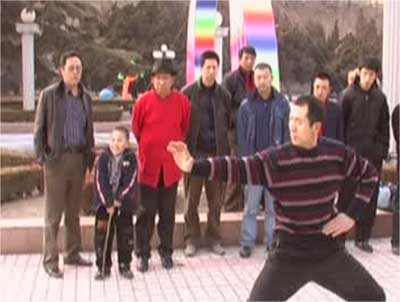 中华武术八极拳