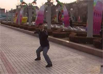 中华武术八极拳