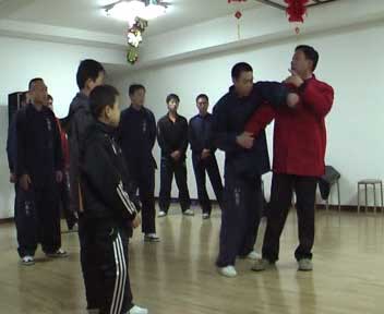 中华武术八极拳