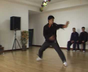 中华武术八极拳