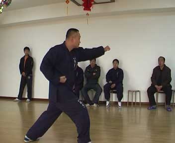 中华武术八极拳