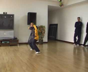 中华武术八极拳