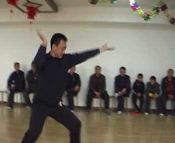 中华武术八极拳