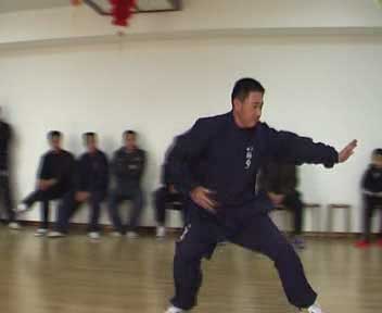 中华武术八极拳