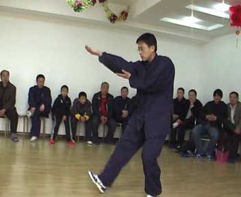 中华武术八极拳