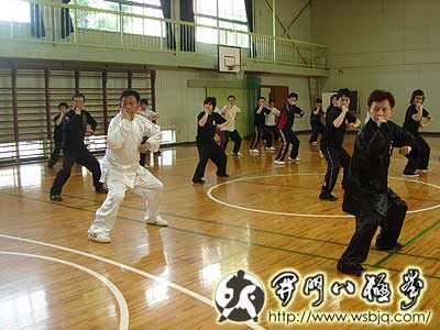 中华武术八极拳