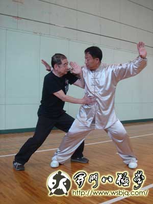 中华武术八极拳