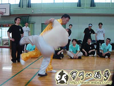 中华武术八极拳