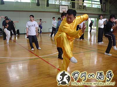 中华武术八极拳