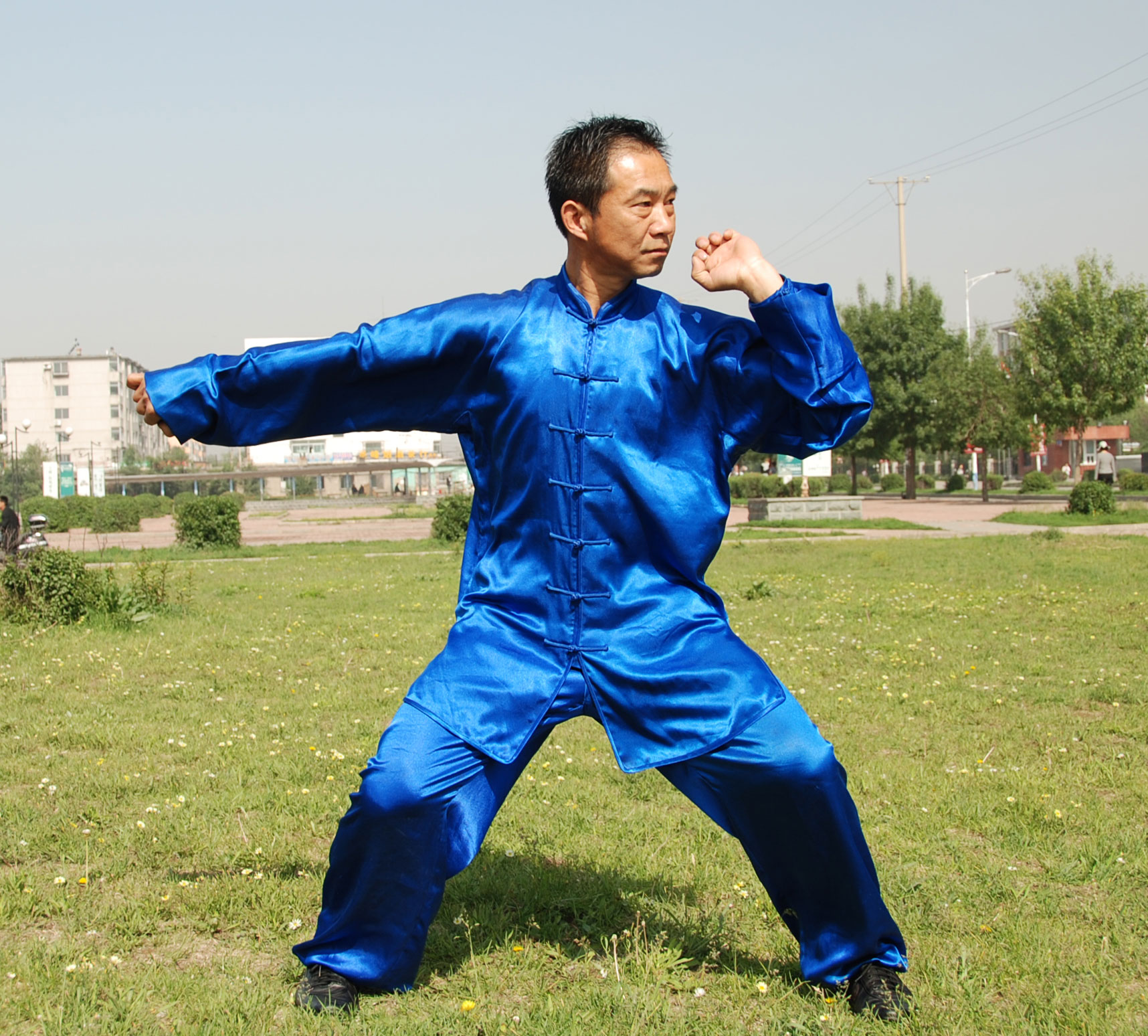 中华武术八极拳