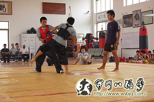 中华武术八极拳