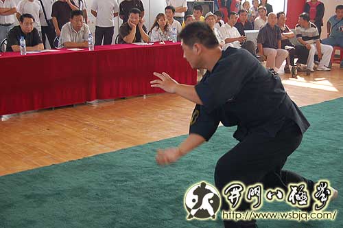 CCTV康龙武林大会八极拳选拔赛在孟村八极拳国际培训中心举行